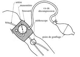 Comment mesurer ma pression artérielle ? - Dr Sabine De Sanctis