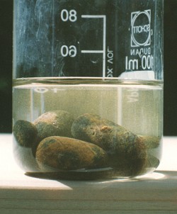 jm058.jpg (20946 octets)