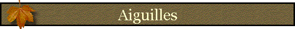 Aiguilles