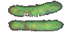 bvert.GIF (3441 octets)