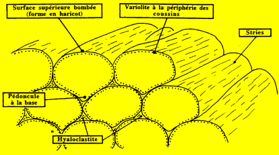 Schéma légendé