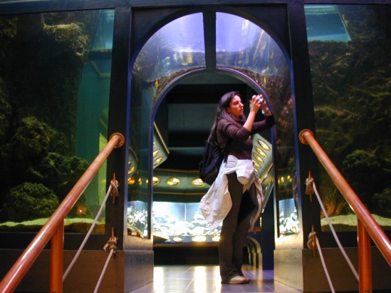 Salle des aquariums