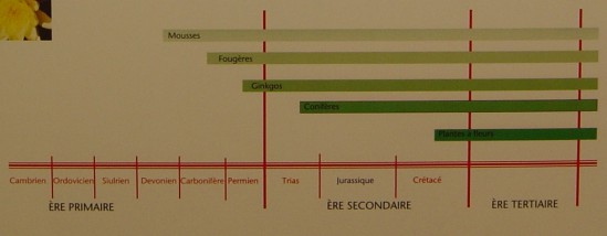 Histoire de la vgtation