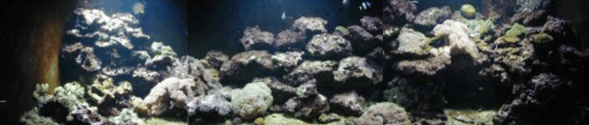 Grand aquarium