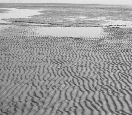 Rides de vagues actuelles