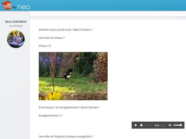 Utilisation de l'application Forum de l'ENT pour le quiz sur les oiseaux des jardins
